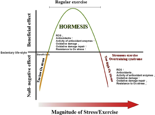 hormesis